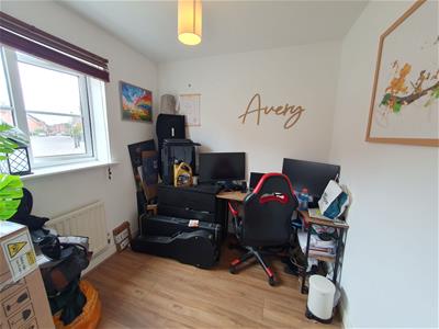 Picture 7